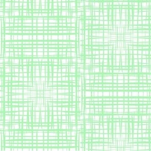 Threadbare Mesh of Green on White