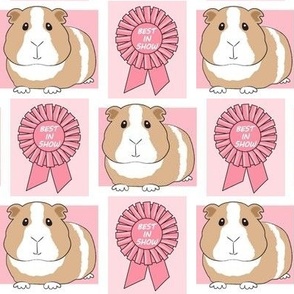 large pink best in show guinea pigs