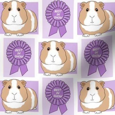 large purple best in show guinea pigs