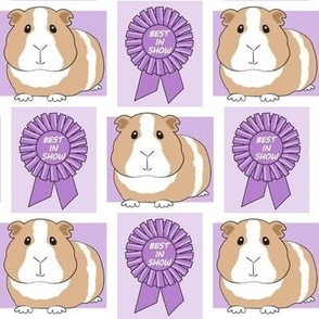 large purple best in show guinea pigs