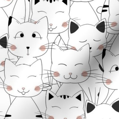 Plentiful cat faces 