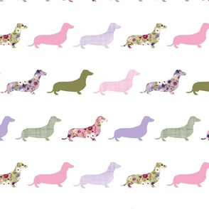 line dachshund