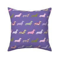 small scale line dachshund purple