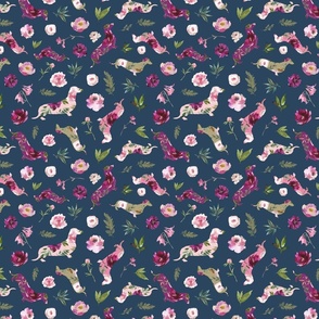 small scale pink floral dachshund blue