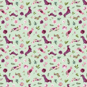 small scale pink floral dachshund pale green
