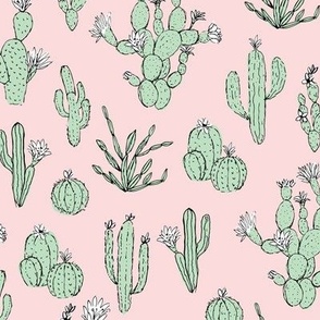 Messy freehand summer cacti garden boho style moroccan botanical cactus design mint green on pink blush 
