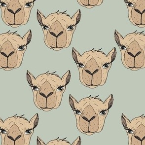 Freehand camel faces - Maroccan desert series hand drawn camels on sage green 