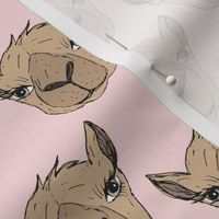 Freehand camel faces - Maroccan desert series hand drawn camels on soft pink