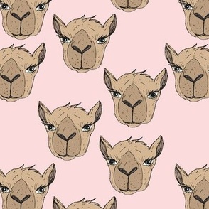 Freehand camel faces - Maroccan desert series hand drawn camels on soft pink