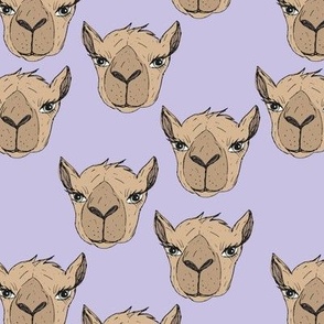 Freehand camel faces - Maroccan desert series hand drawn camels on lilac purple