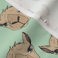Freehand camel faces - Maroccan desert series hand drawn camels on mint green