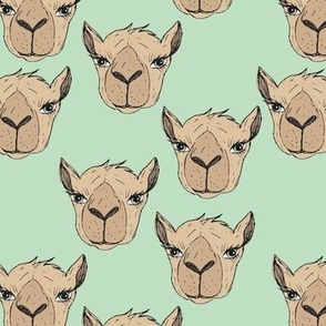 Freehand camel faces - Maroccan desert series hand drawn camels on mint green