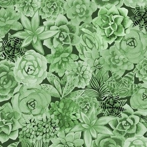 Green Succulents