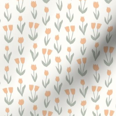 (small scale) tulips - spring flowers - peach - LAD22