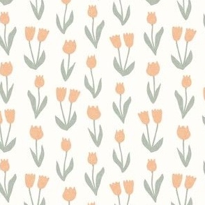 (small scale) tulips - spring flowers - peach - LAD22