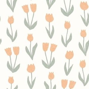 tulips - spring flowers - peach - LAD22