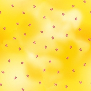 Sunshine Gnomes! Plaids and Flowers blender print yellow