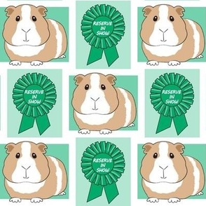 large green reserve in show guinea pigs