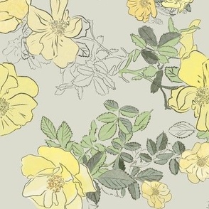 Yellow Wildrose