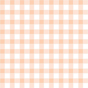 Small - Hand Drawn Gingham Pattern - Peach