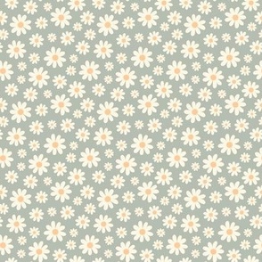 ( small ) daisy, florals, daisies, sage