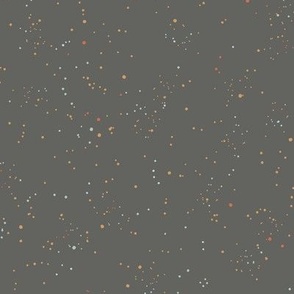 Speckles_Colorful Gray_