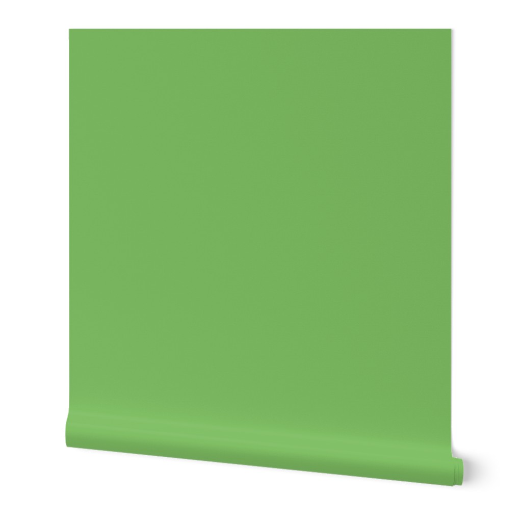 Solid Color Pistachio Green