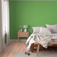Solid Color Pistachio Green
