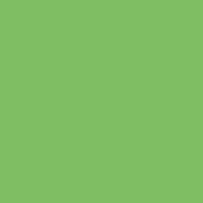 Solid Color Pistachio Green