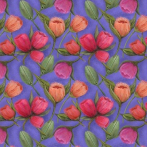 TULIPS-8-INCH-PERIWINKLE