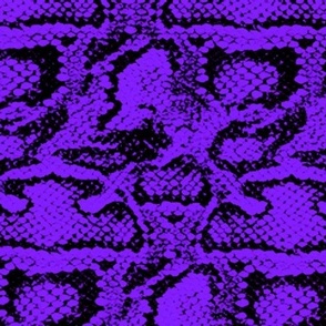 The Purple Snakeskin Leather