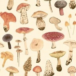 (Small scale) Mushroom Season in retro style