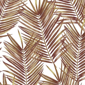 tropical coconut palm leaves, white