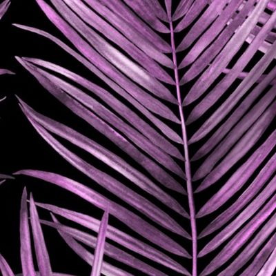 tropical coconut palm leaves, purple