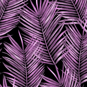 tropical coconut palm leaves, purple