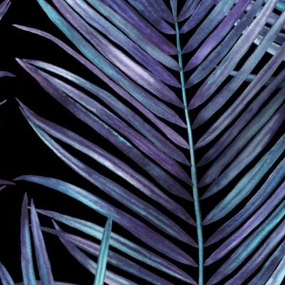 tropical coconut palm leaves, violet