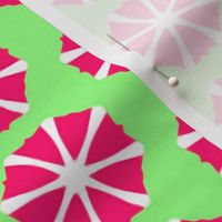 Summer Beach Umbrellas Hot Pink and Lime