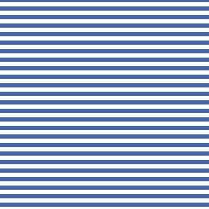 Royal blue and white eighth inch stripes - horizontal