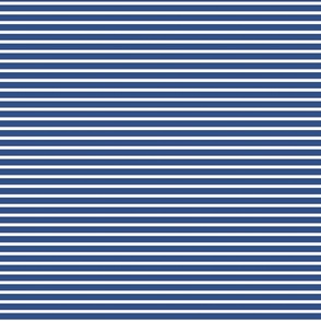 small stripes in blue and white