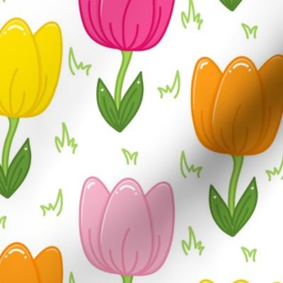 Tulip Brights on White