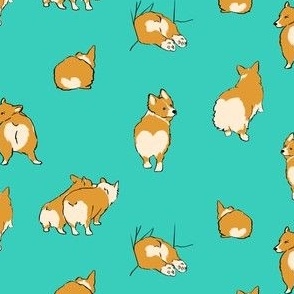 Corgs on Aqua