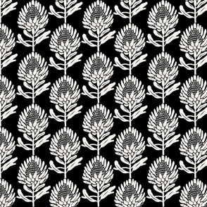 Protea_In Bloom Black and White