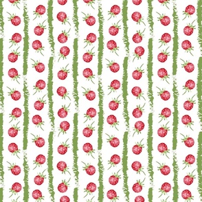 raspberries and green stripes on white