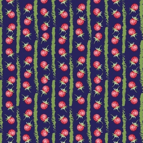 raspberries and green stripes on dark blue