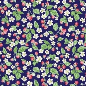 Raspberry fruits and flowers on dark blue