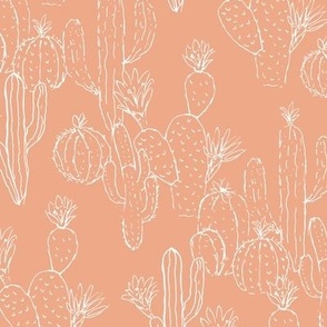 Minimalist messy cacti garden sweet deserts flowers cactus and succulent plants outline white on peach orange coral