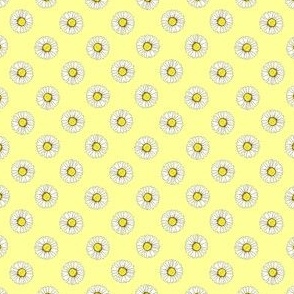 Polka daisies on yellow