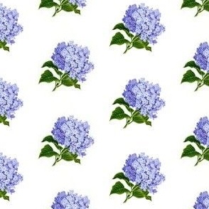 Vintage hydrangea flowers (small)