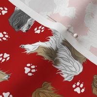 Trotting assorted Tibetan Terriers and paw prints - red