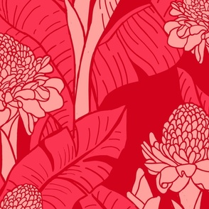 jumbo-Hawaiian Torch Ginger Jungle-red pinky mauve